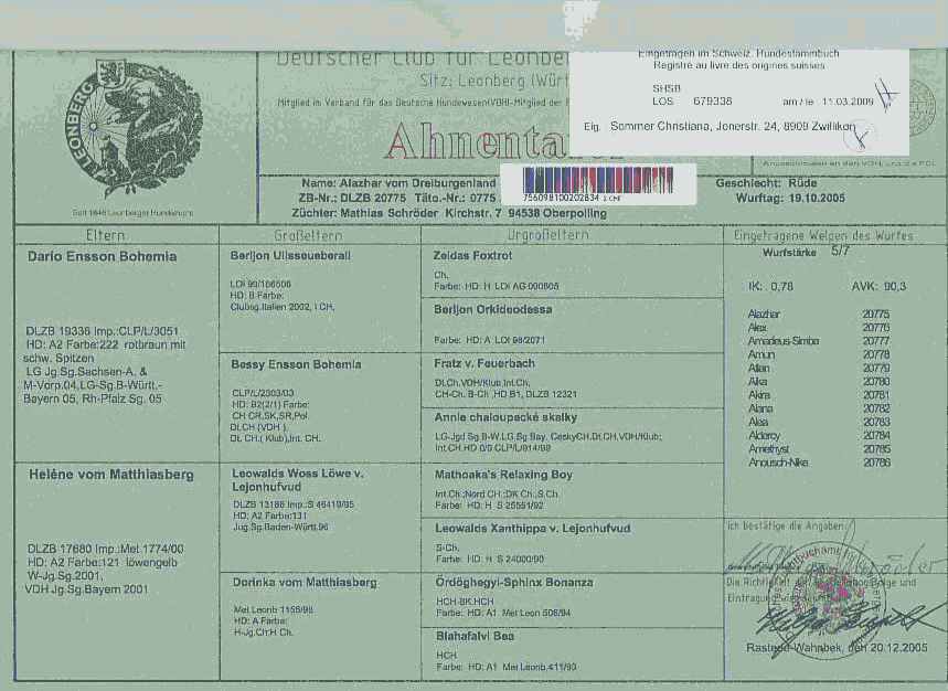 Abstammungsausweis Vorne