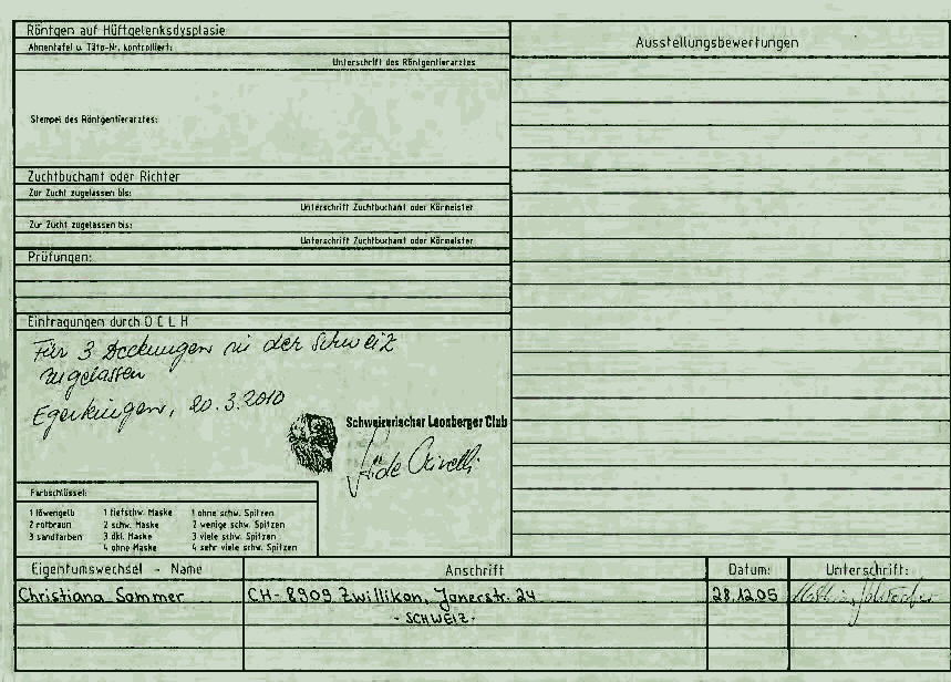 Abstammungsausweis Hinten